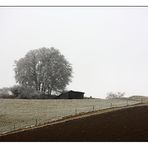 Winter bei Korbach II