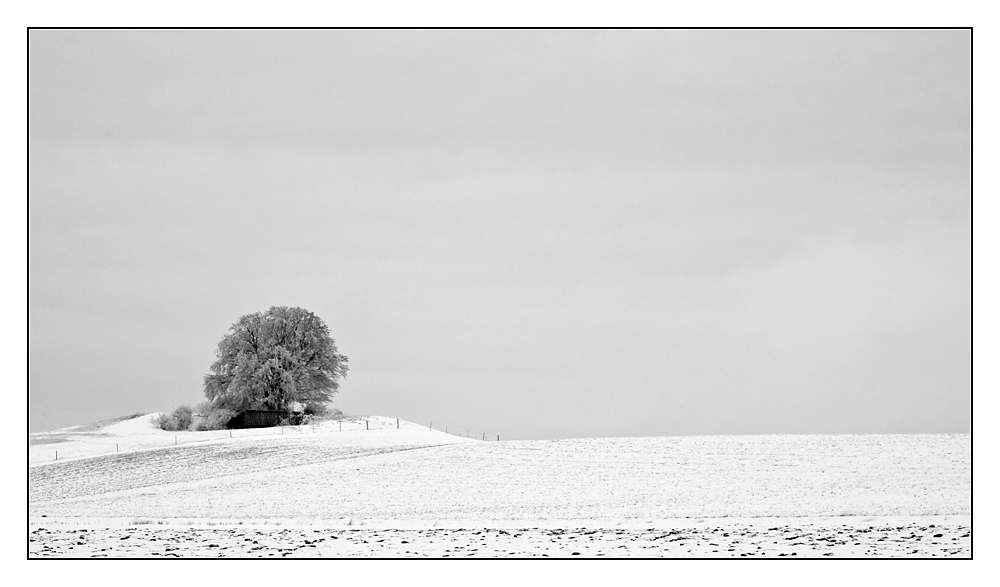 Winter bei Korbach III