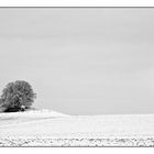 Winter bei Korbach III