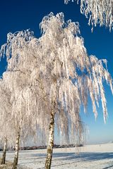 Winter bei mir zu Hause