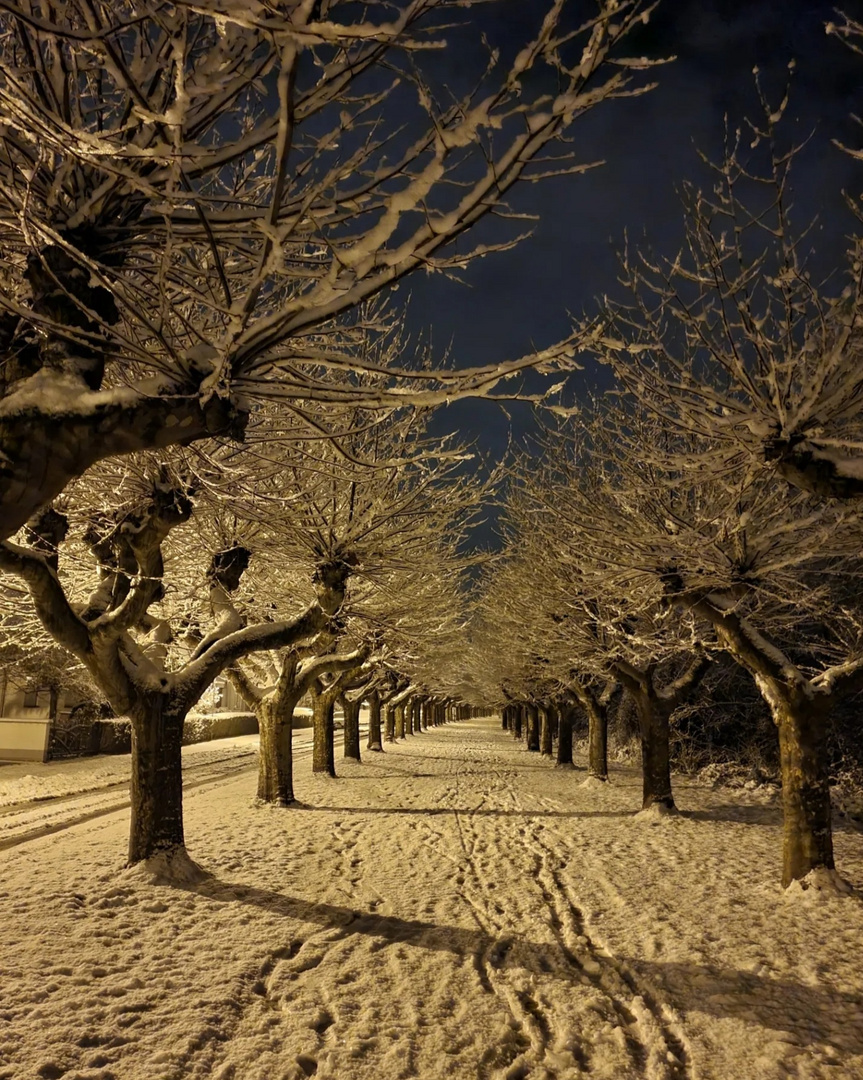 Winter bei Nacht