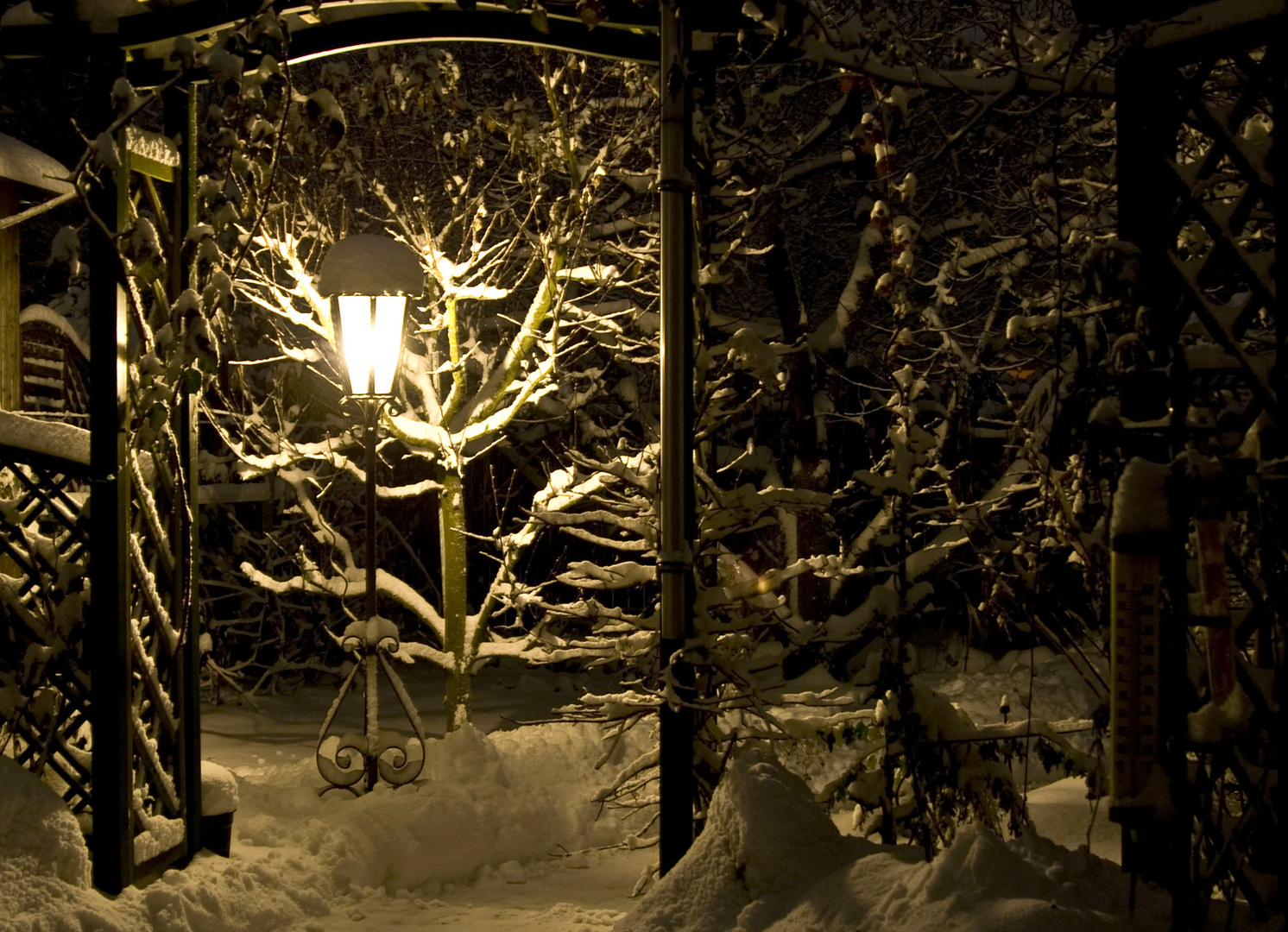 Winter bei Nacht 2010