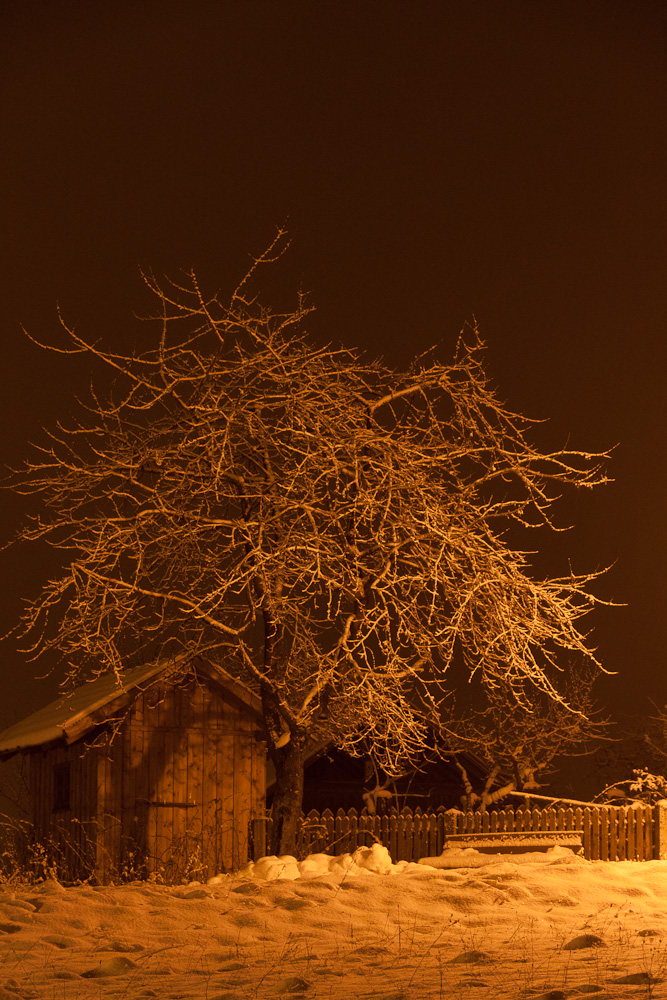 Winter bei Nacht