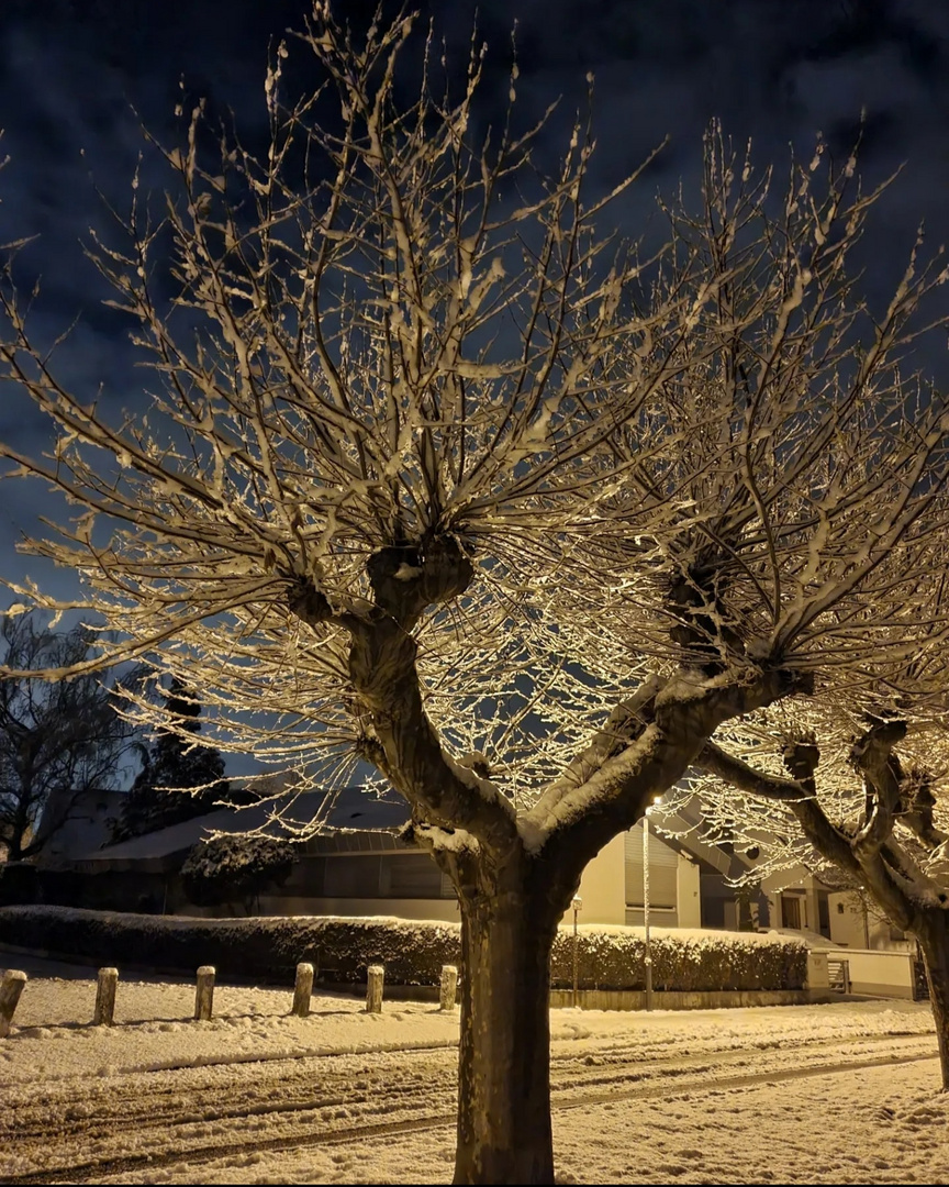 Winter bei Nacht