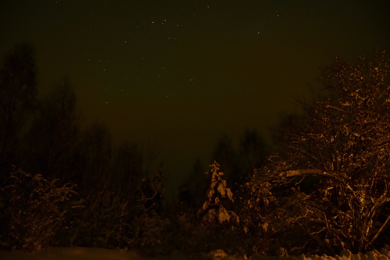 Winter bei Nacht