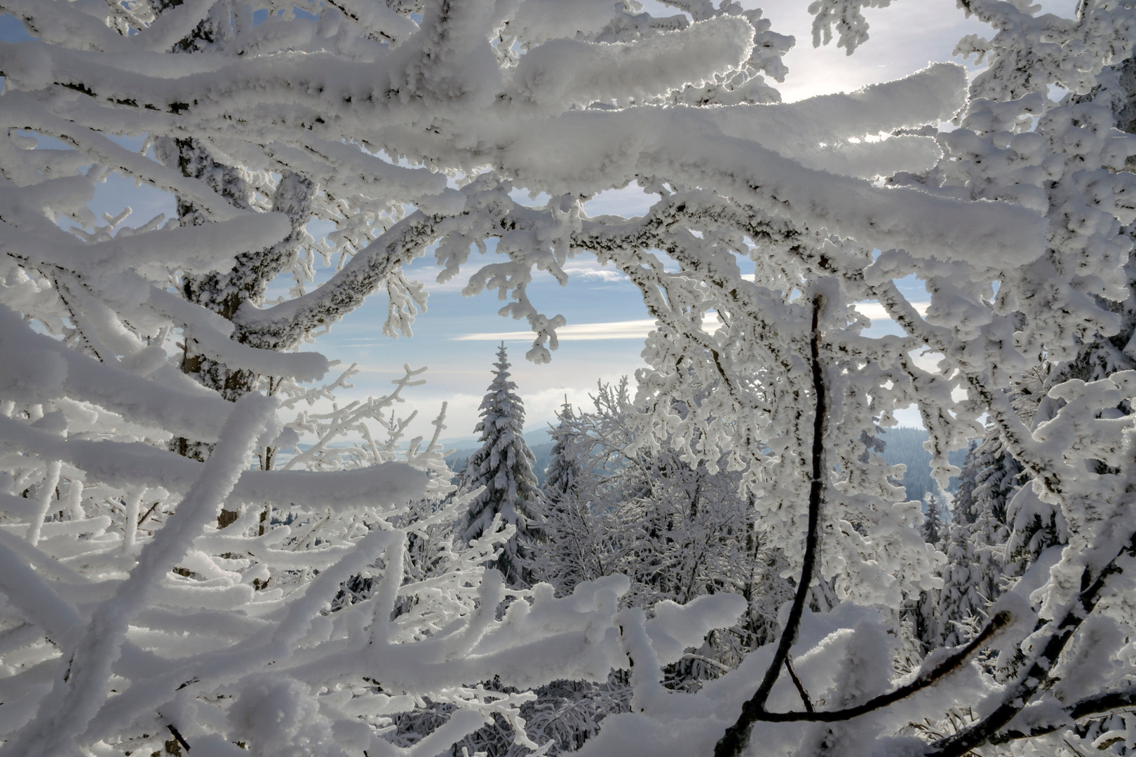 Winter bei Neuchatel.