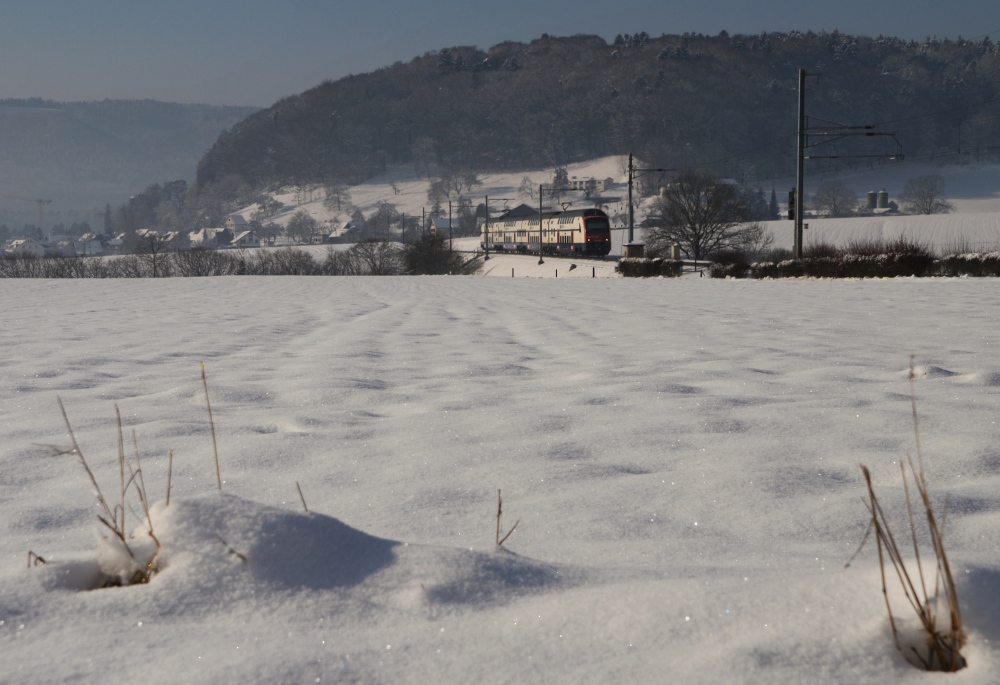 Winter bei Otelfingen.II