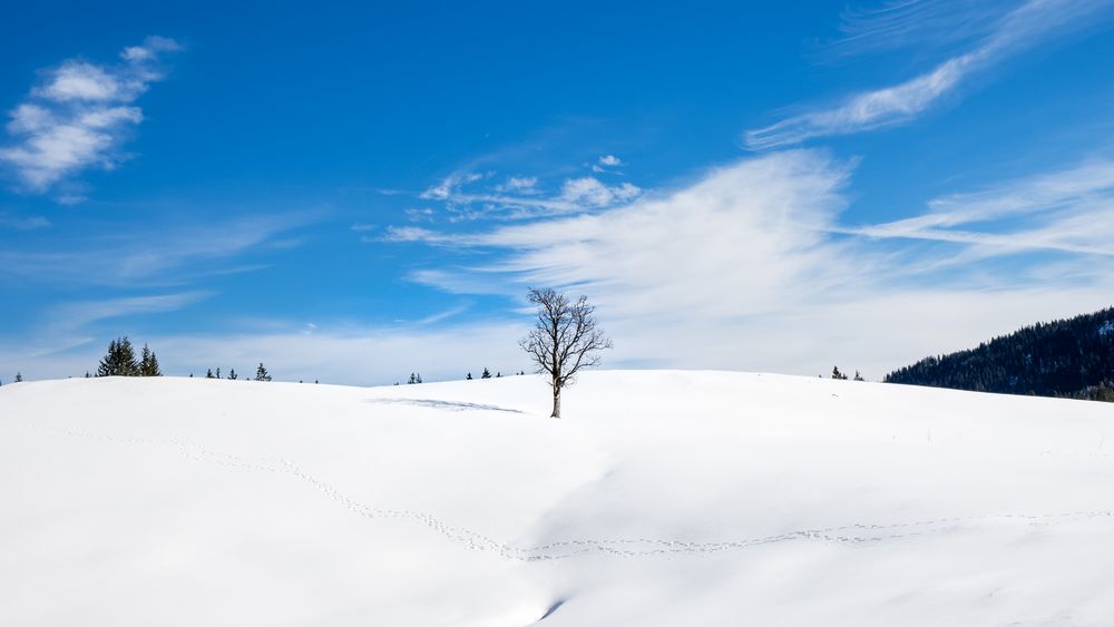 Winter bei Reit im Winkl