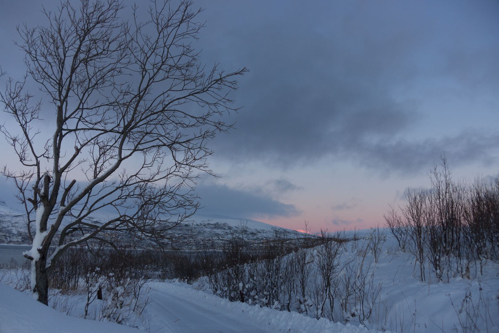 Winter bei Tromsö