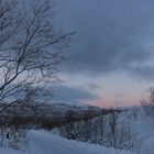 Winter bei Tromsö