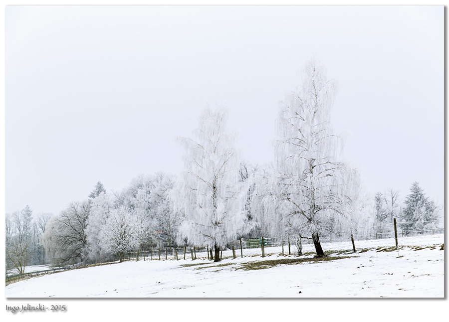 Winter bei uns am Stall