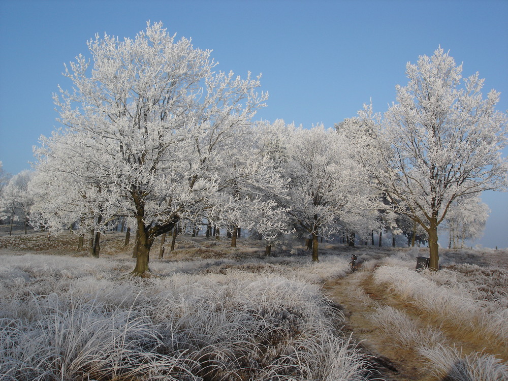 Winter bei uns