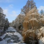 Winter bei uns in Stade!