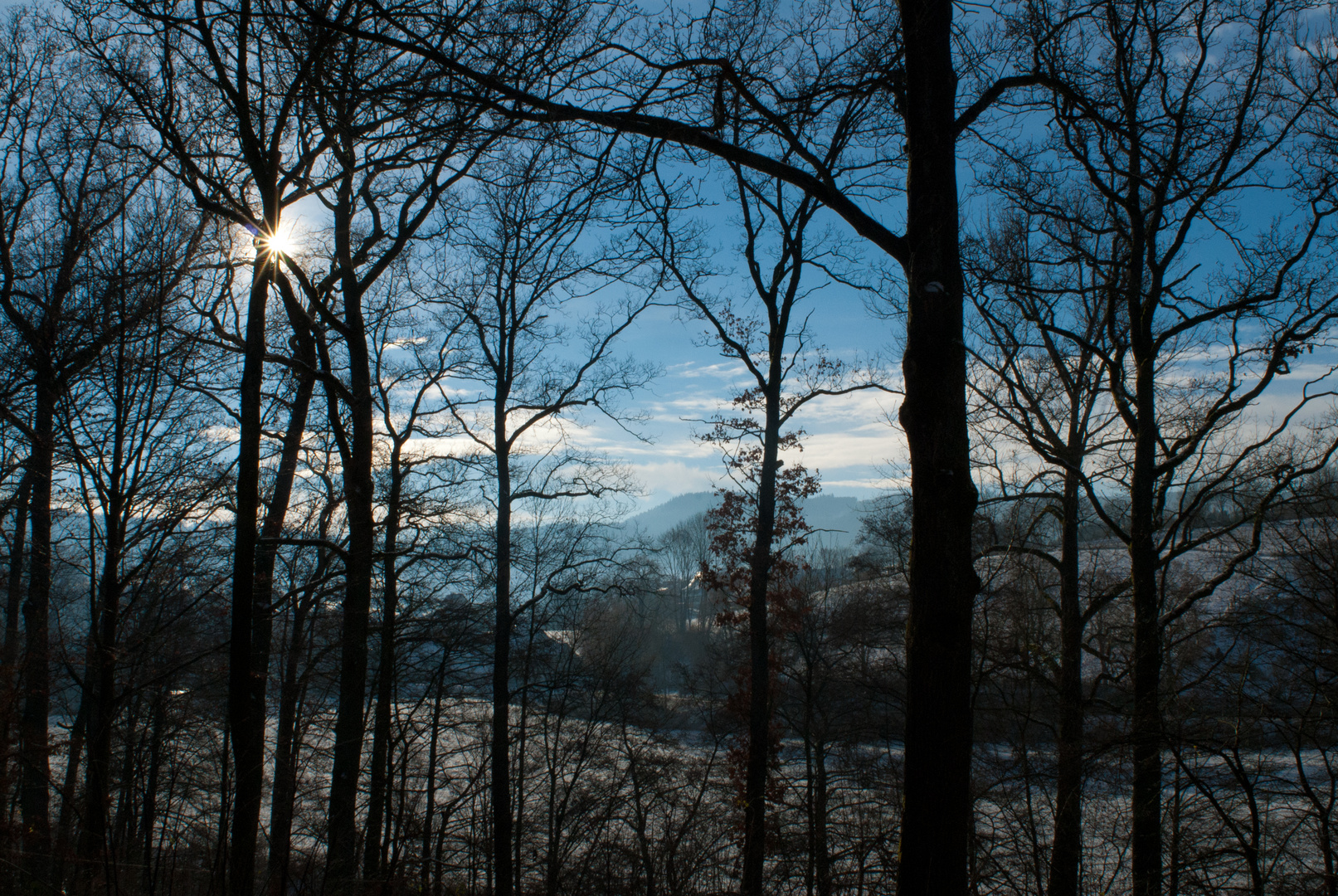 Winter bei Wenholthausen