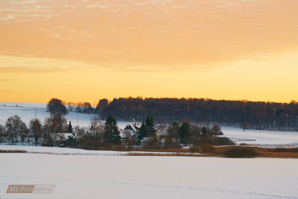 Winter beim Schopflocher Hochmoor