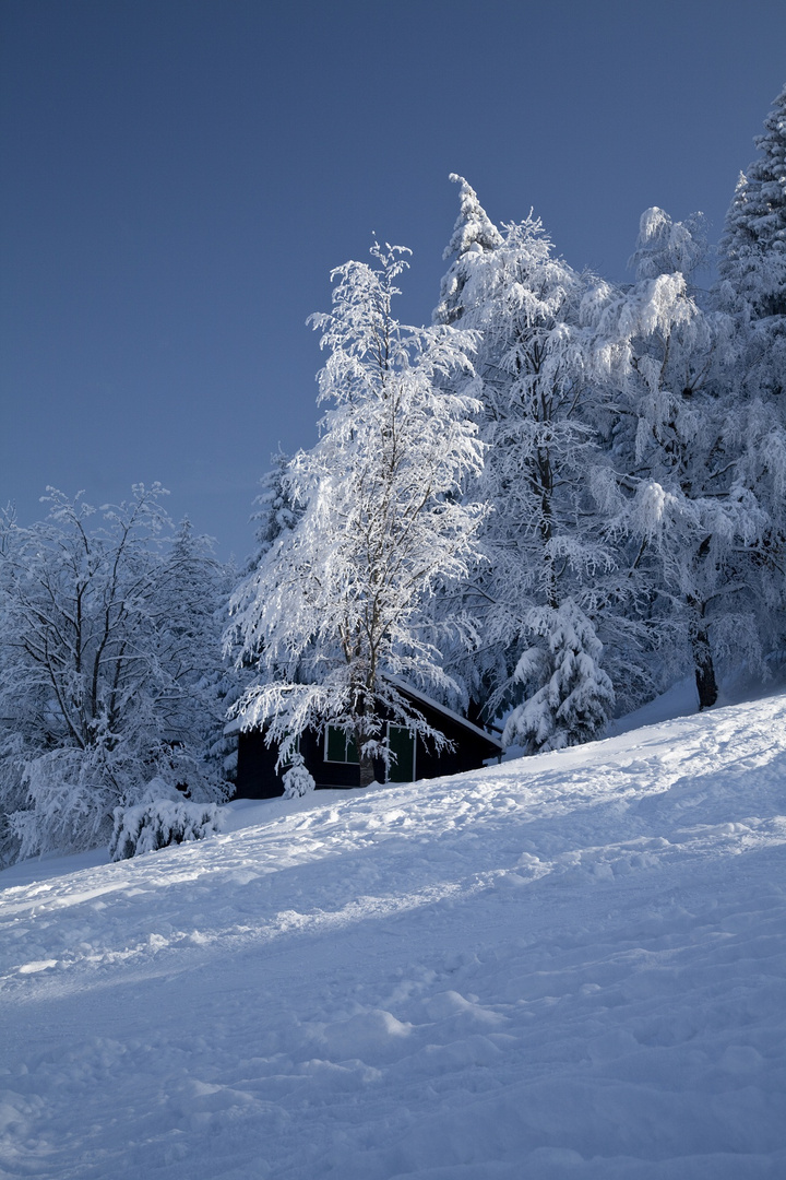 Winter beim Weg zur Bazoraalpe