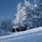 Winter beim Weg zur Bazoraalpe