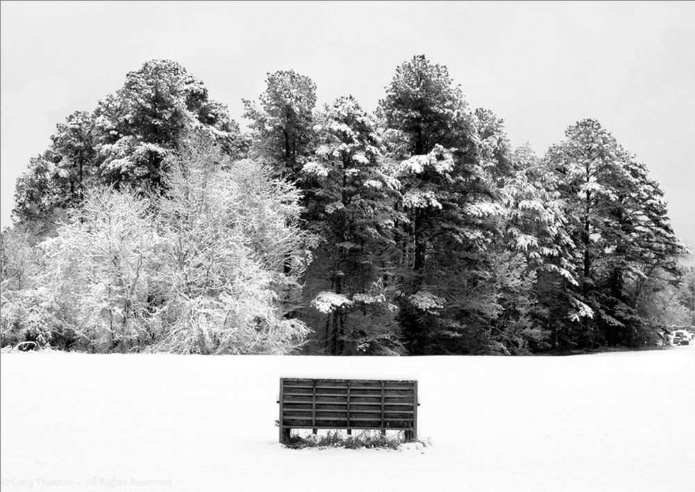 Winter Bench