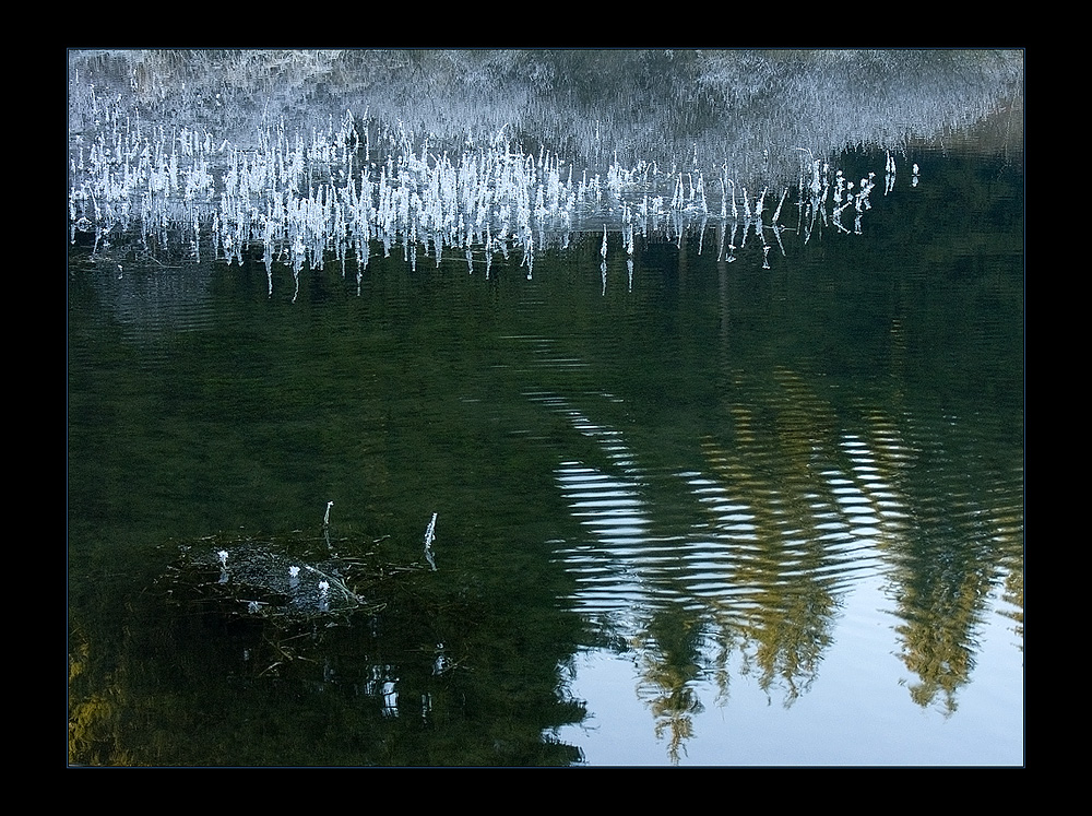 Winter-Beschaulichkeit am Glas-Teich...