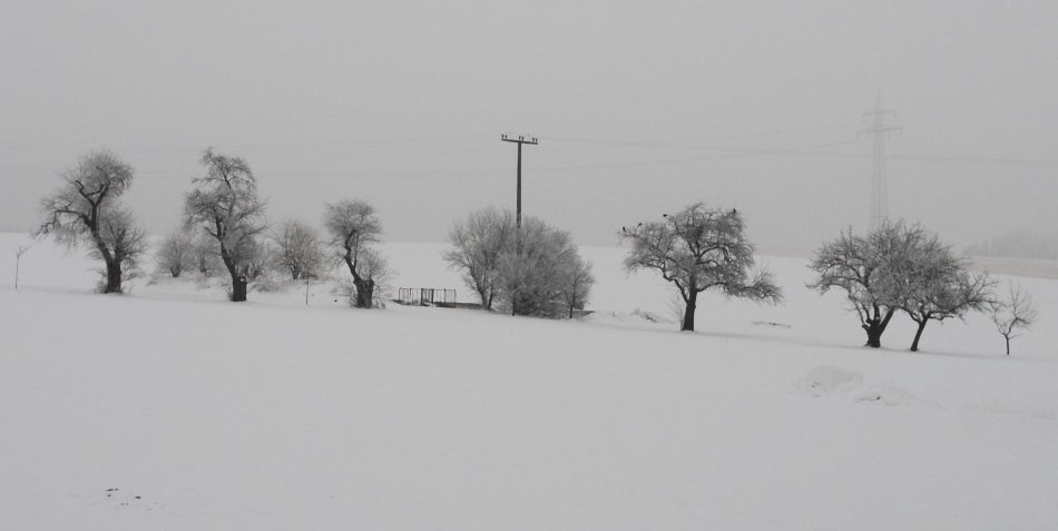 Winter Bezugspunkte