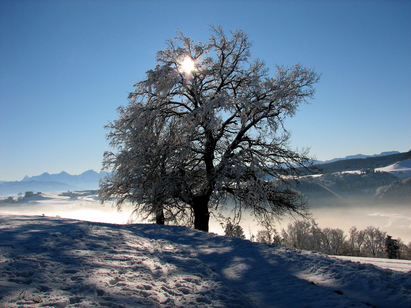 Winter Bijoux