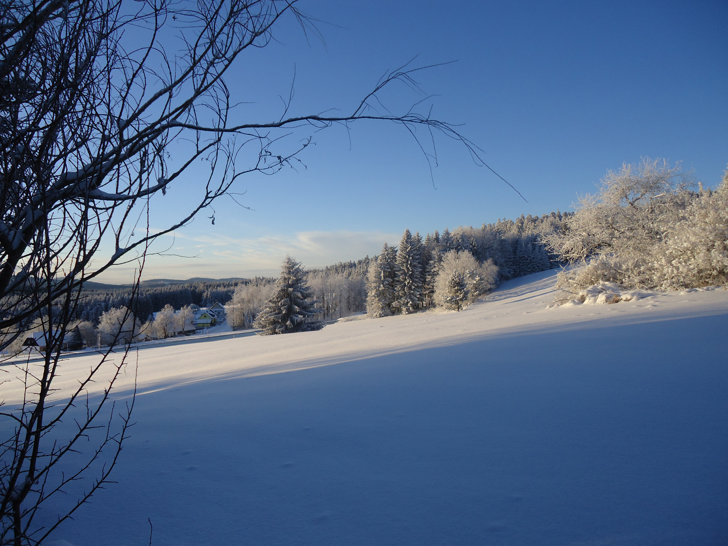 Winter-Bild