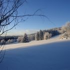 Winter-Bild