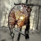 Winter-Blatt