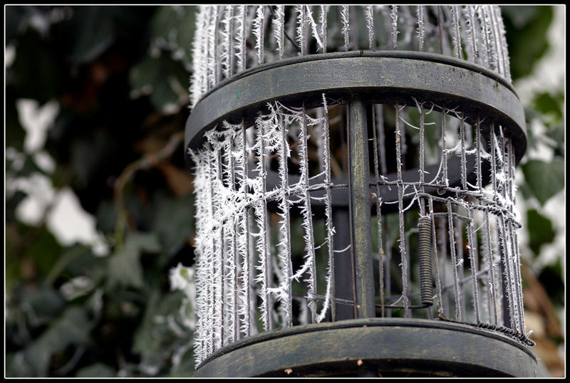 Winter bleibt ausgeflogen