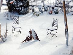 Winter-Blick in Nachbars Garten