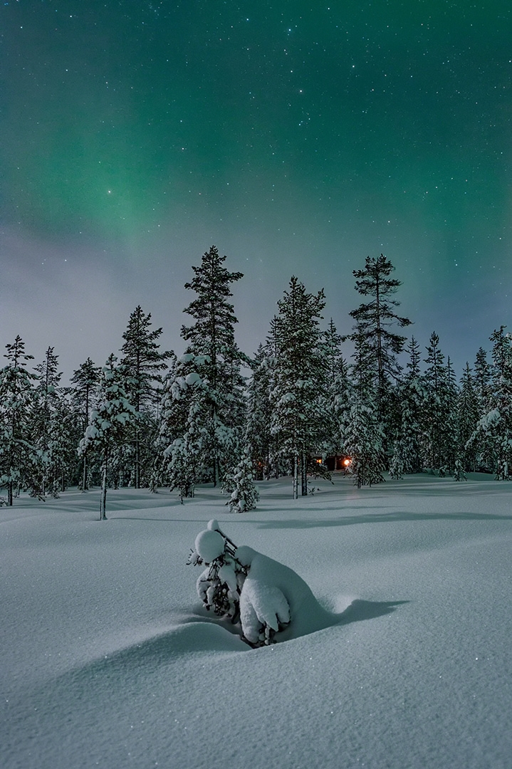 Winter bliss / Winterglück