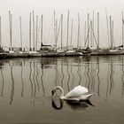 winter boats