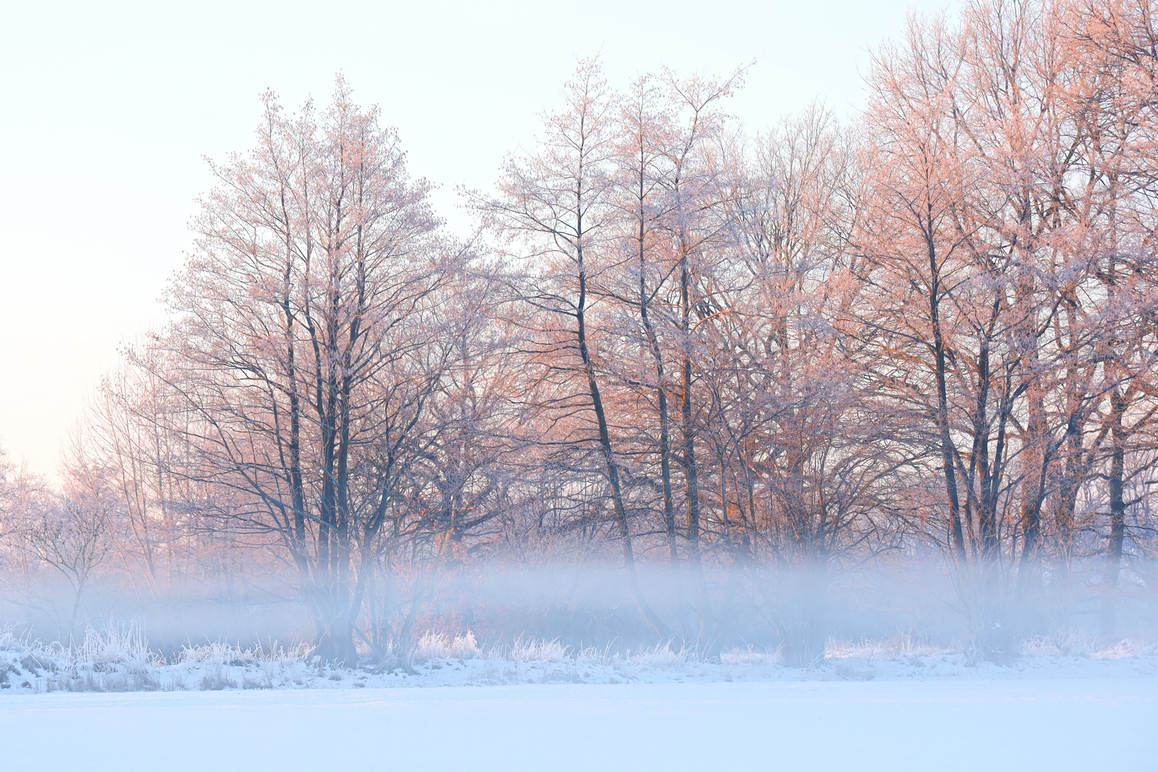 Winter - Bodennebel