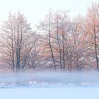 Winter - Bodennebel