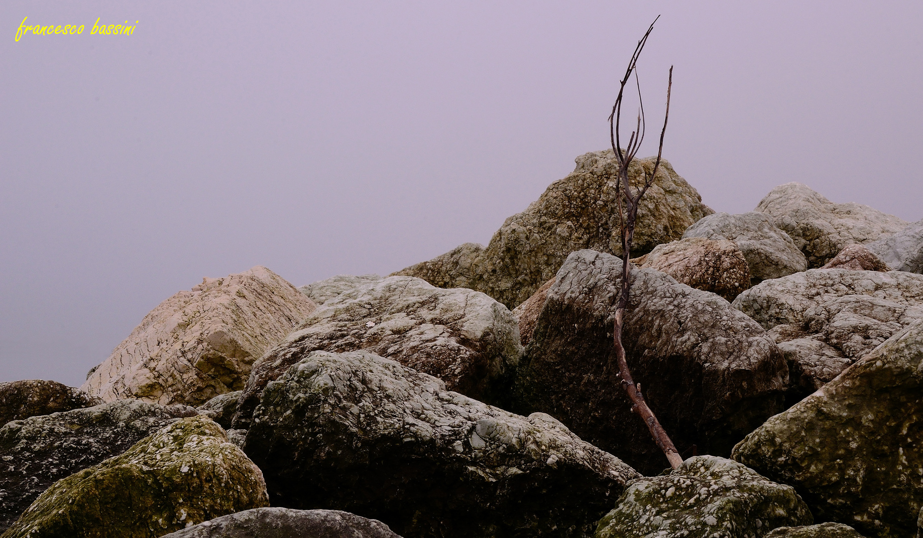 Winter breakwater