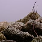 Winter breakwater