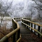 Winter-Brücken-Pfad