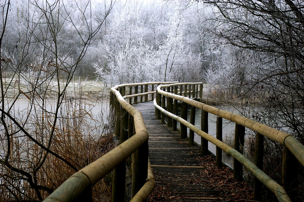 Winter-Brücken-Pfad