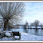 Winter by the river