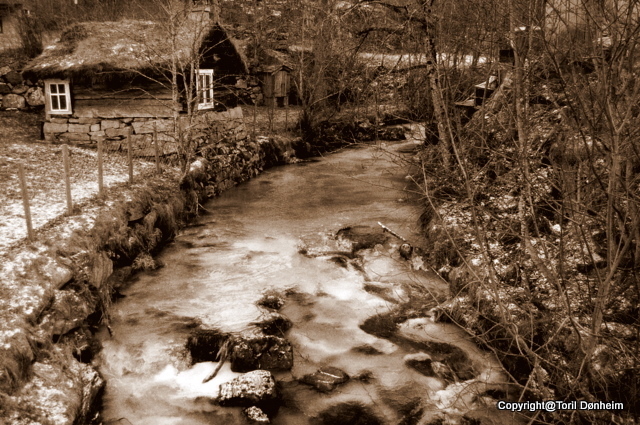 Winter by the river.