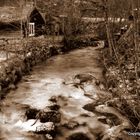 Winter by the river.