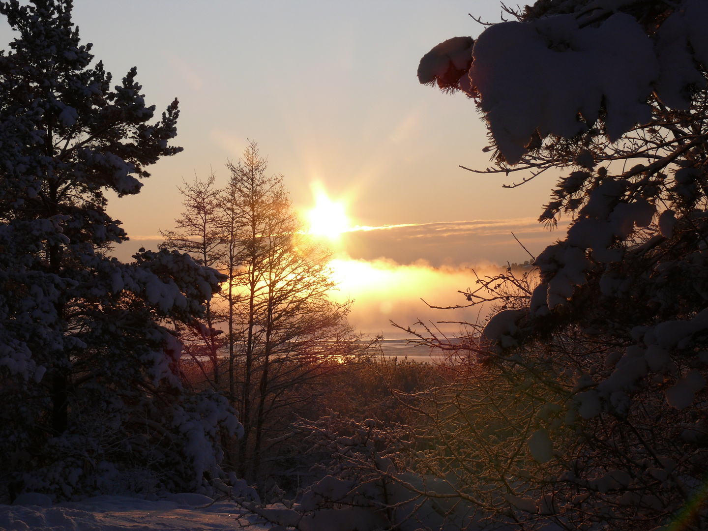 Winter by the sea