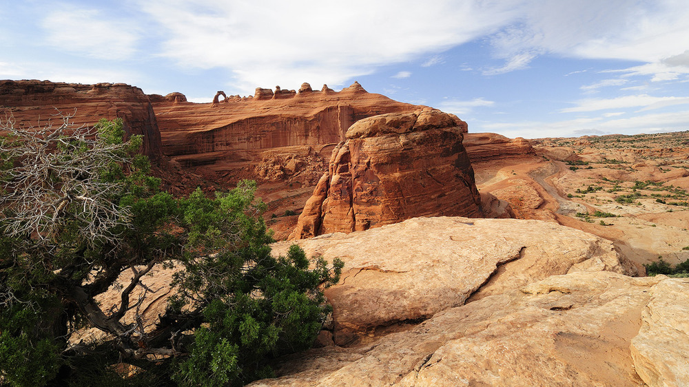 Winter Camp Wash [Delicate Arch]