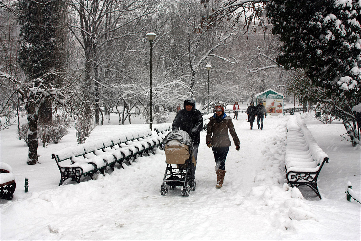 Winter challenges III photo & image | nature, park, snow images at ...