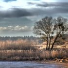 Winter-Chiemsee