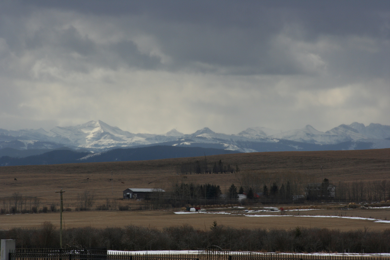 Winter Chinook on the horizon