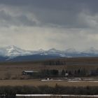 Winter Chinook on the horizon