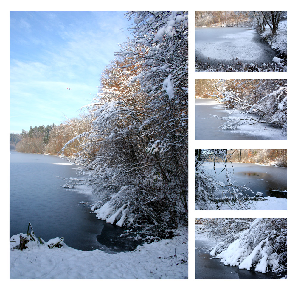 Winter Collage