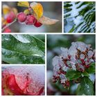 Winter Collage 