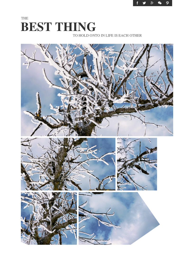 Winter Collage im März 